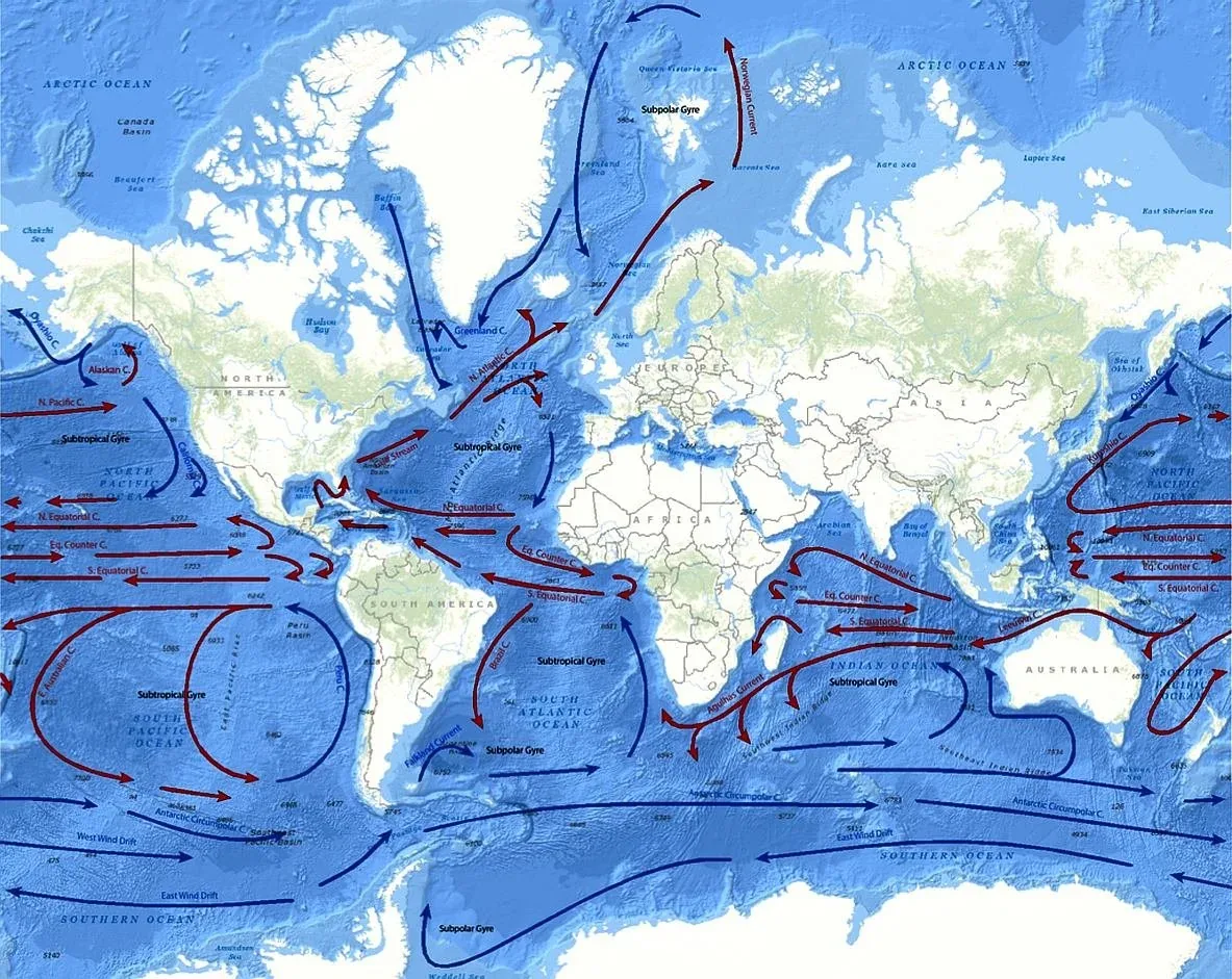 World map of the major ocean surface currents, with the subtropical and subpolar gyres of every ocean basin marked.